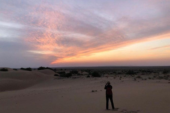 non-touristic-half-day-camel-safari-thar-desert-sunset