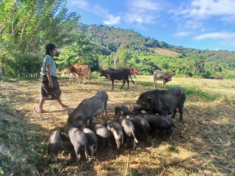 Nong Khiaw: 2-Day Trekking, Camping and Kayaking Tour - Who would this tour suit best?