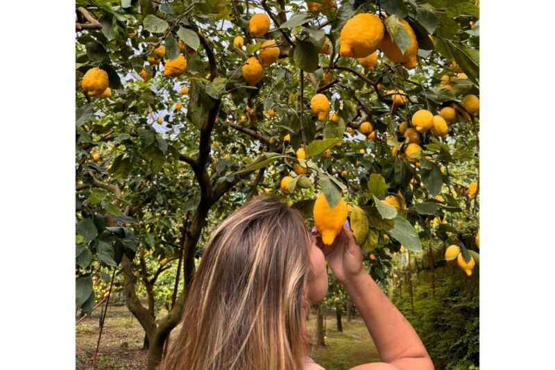 nonno-mario-lemon-tour