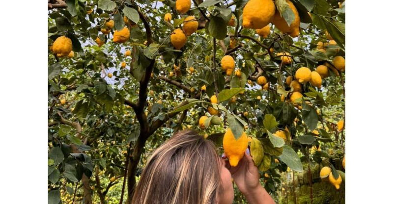 nonno-mario-lemon-tour