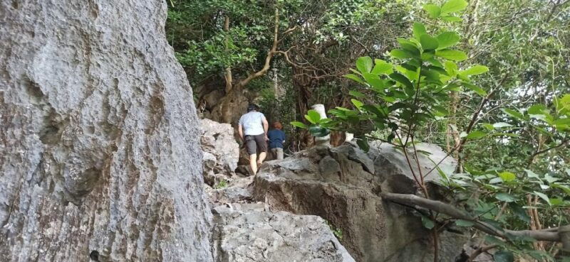 nontouristy-bai-tu-long-day-cruise-from-hanoi