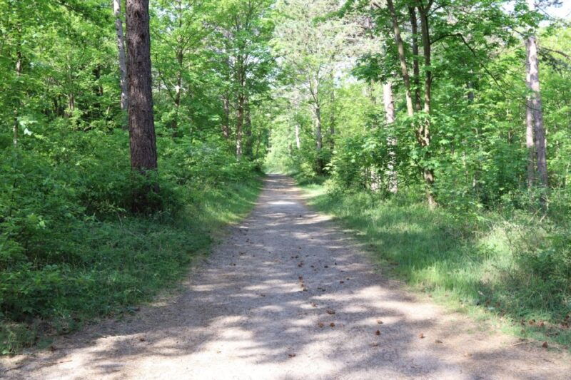 noordwijk-beach-and-dunes-bike-tour
