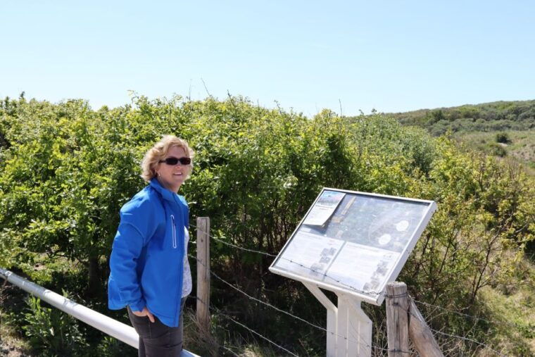 noordwijk-beach-and-dunes-bike-tour