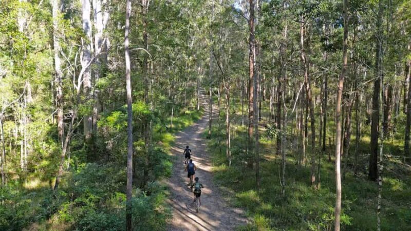 Noosa Biosphere Trails Guided eMountain Bike Tour - Who Should Consider This Tour?