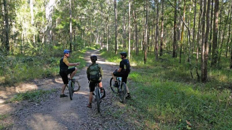 Noosa Biosphere Trails Guided eMountain Bike Tour - Final Words