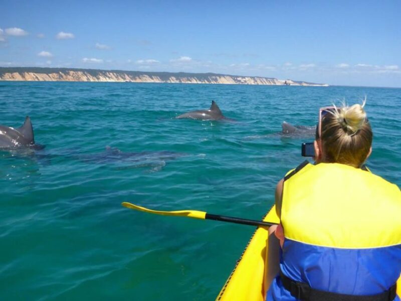 Noosa: Dolphin Sea Kayak & Beach 4X4 Tour (in National Park) - The Guides and Experience Quality