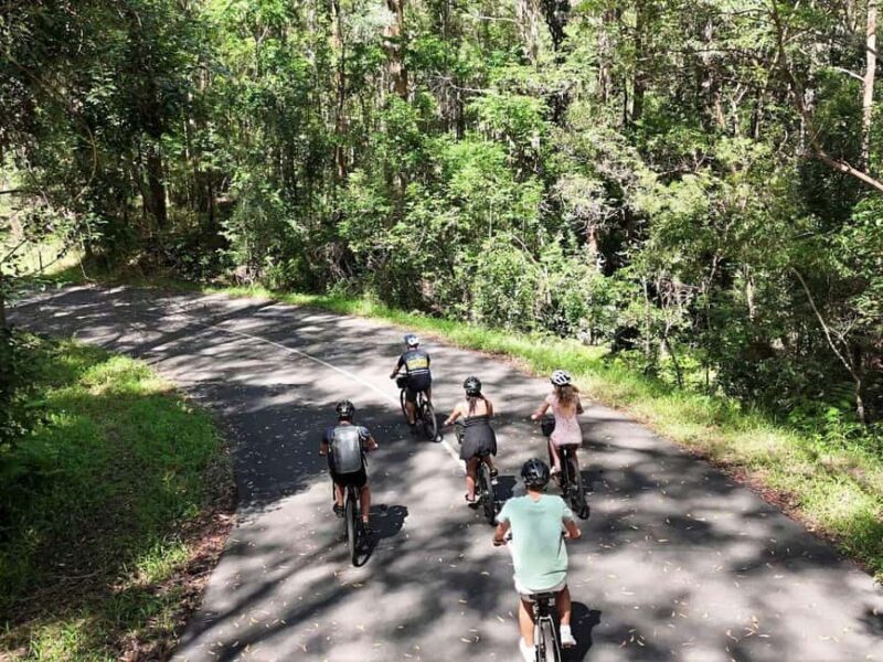 Noosa: E-Bike Tour from Mt Tinbeerwah to Noosa - Key Points