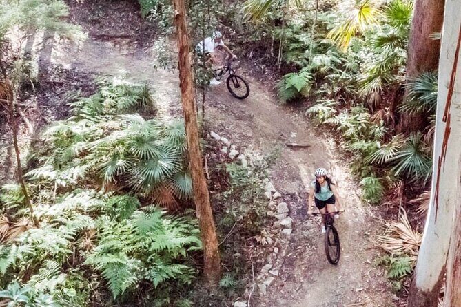 Noosa eMtn Bike Tour: Exploring a National Park on Fun MTB Trails - An In-Depth Look at the Noosa eMtn Bike Tour
