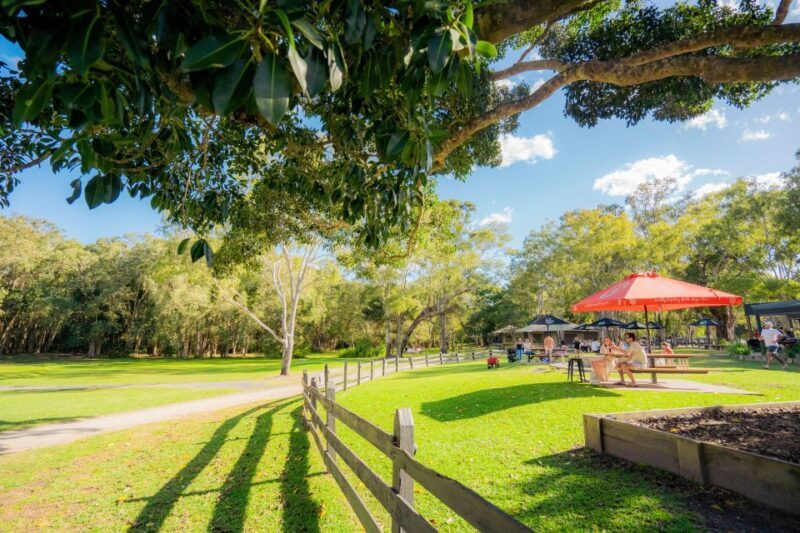 Noosa: Everglades Explorer Cruise - Noosa: Everglades Explorer Cruise – An Authentic Nature Escape