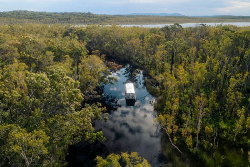 Noosa: Everglades Explorer Cruise - Key Points