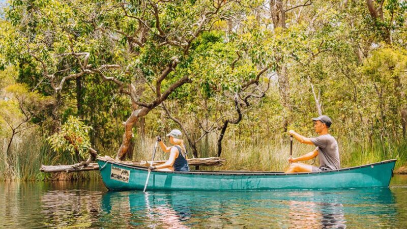 Noosa: Everglades Explorer Cruise - Why This Tour Works Well