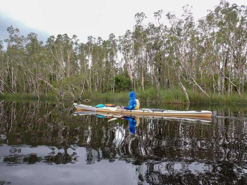 Noosa Everglades: Truly Sustainable Self Guided KAYAK Tour - Discovering the Noosa Everglades: A Unique Kayaking Experience