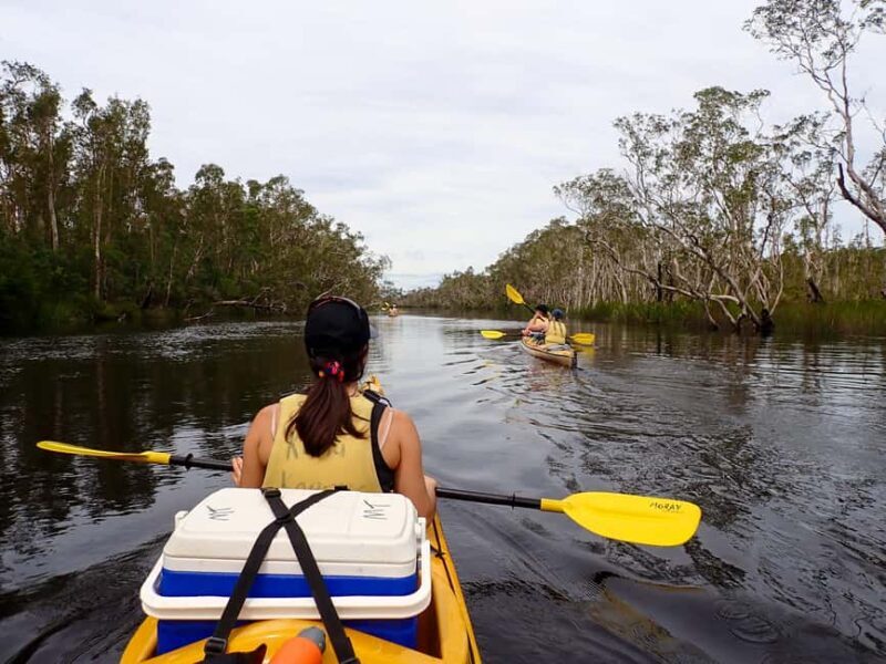 Noosa Everglades: Truly Sustainable Self Guided KAYAK Tour - FAQ