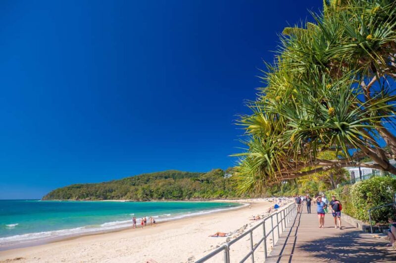 Noosa Heads and Eumundi Markets Private Tour from Brisbane - Final Thoughts