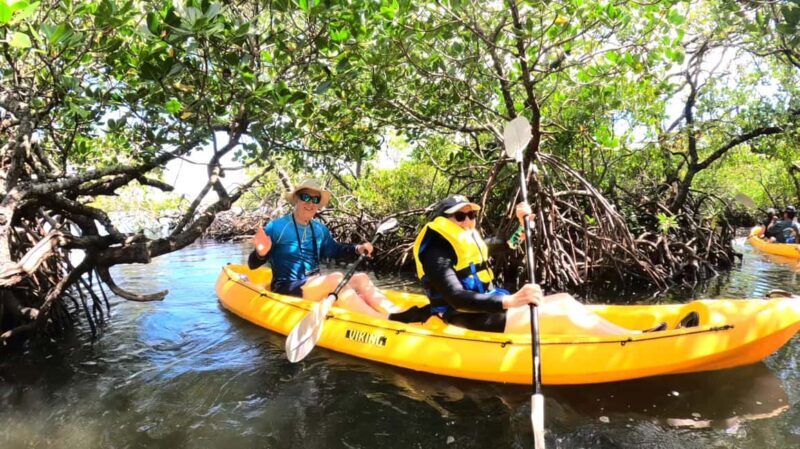 Noosa Heads: Hidden Waterways Wildlife Kayak (Fully Guided) - Key Points