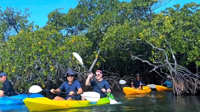Noosa Heads: Hidden Waterways Wildlife Kayak (Fully Guided) - Overview of the Tour Experience