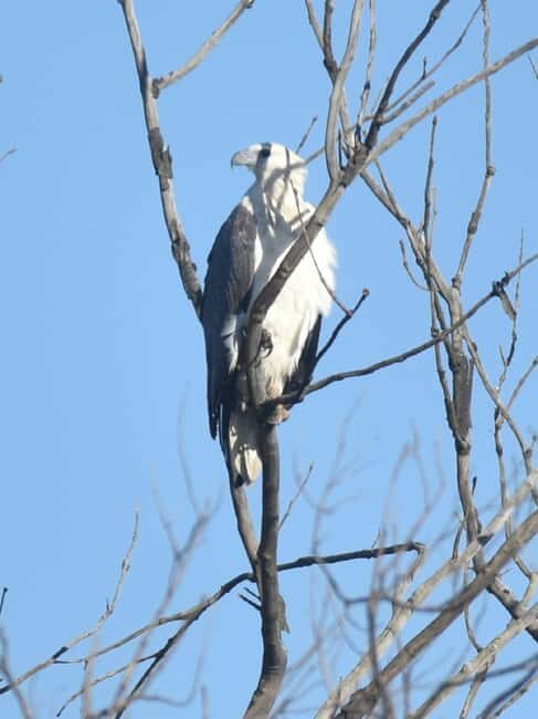 Noosa Heads: Hidden Waterways Wildlife Kayak (Self-Guided) - Why This Tour is a Great Choice