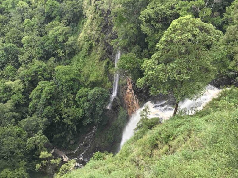 Noosa: Maleny & Montville Tour with Lunch & Wine Tasting - FAQs