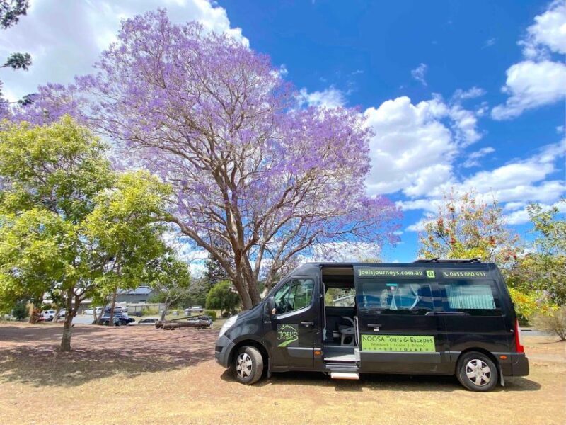 Noosa: Mary Valley Tour with Mary Valley Rattler and Lunch - Frequently Asked Questions