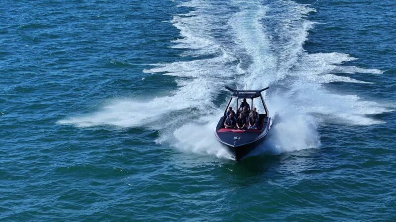 Noosa: Ocean Adventure & Dolphin Safari - The Experience: What to Expect