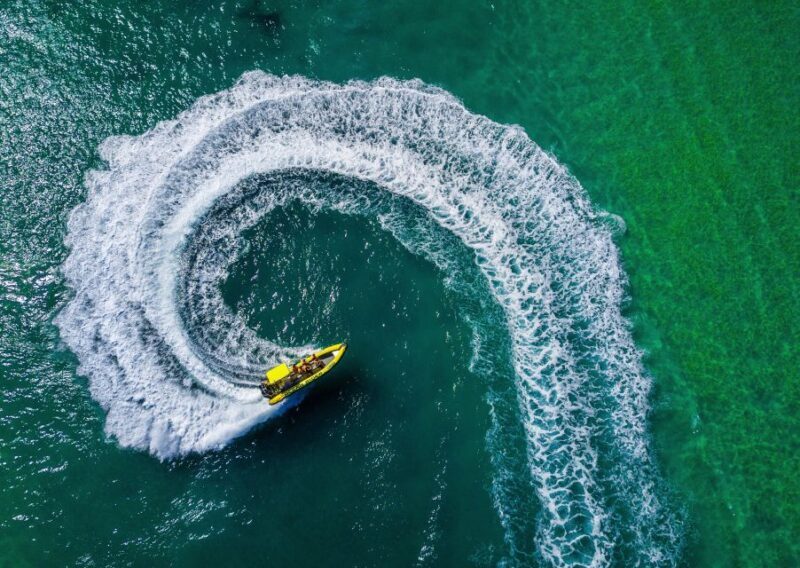 Noosa Ocean adventure & Dolphin Safari. - Key Points  