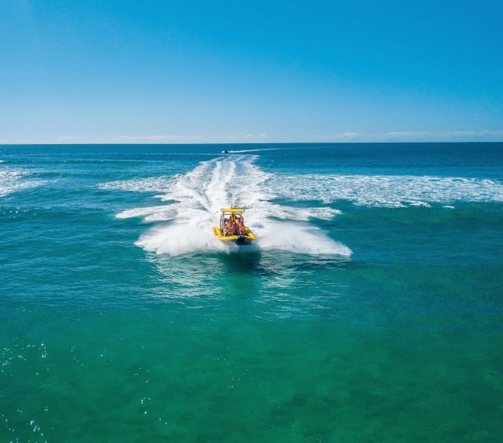 Noosa Ocean adventure & Dolphin Safari. - The Value and Practicalities