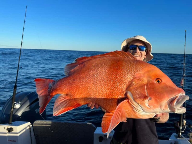 Noosa: Offshore Fishing Charter - What to Expect from the Tour