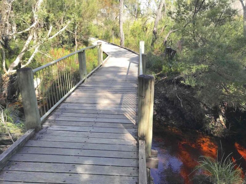 Noosa: Rainbow Beach Tour via Noosa Hinterland and Cooloola - FAQ