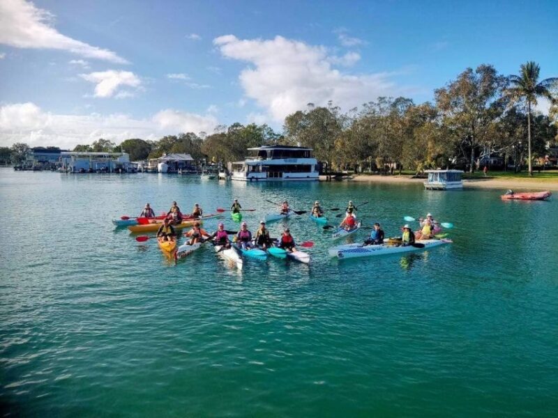 Noosa River: Mangroves and Mansions Guided Kayak Tour - Detailed Breakdown of the Itinerary