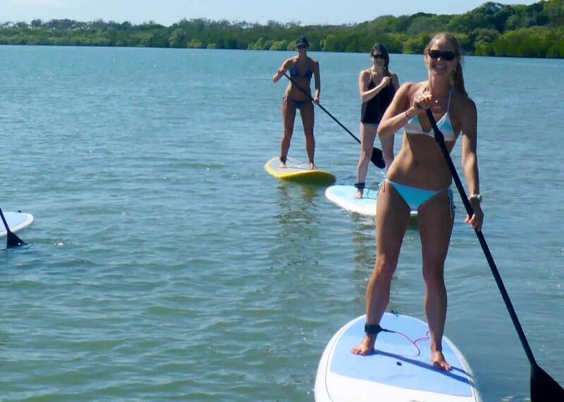 Noosa Stand Up Paddle & Mangrove Tunnel Tour (Fully Guided) - FAQ
