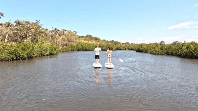 Noosa Stand Up Paddle & Mangrove Tunnel Tour (Self Guided) - Final Thoughts