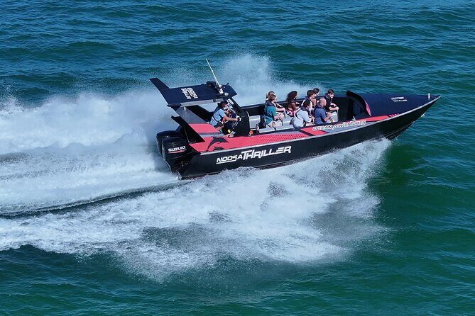 Noosa Thriller: Ocean & Dolphin Adventure Tour - The Experience in Detail