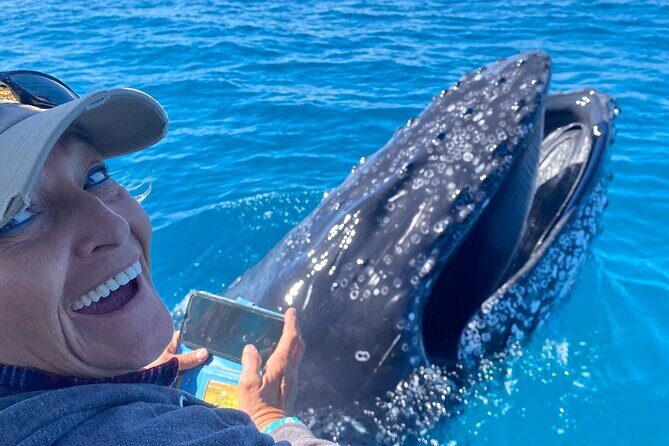 Noosa Whale Watching Adventure Cruise - The Experience in Detail