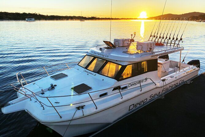 Noosa Whale Watching Tours - What to Expect on the Tour