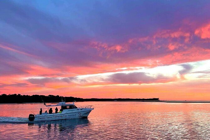 Noosa Whale Watching Tours - Final Thoughts: Is It Worth It?