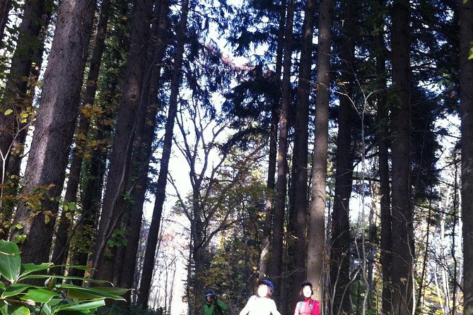 nopporo-forest-mountain-bike-tour-from-sapporo-presenting-a-retro-cycle-cap
