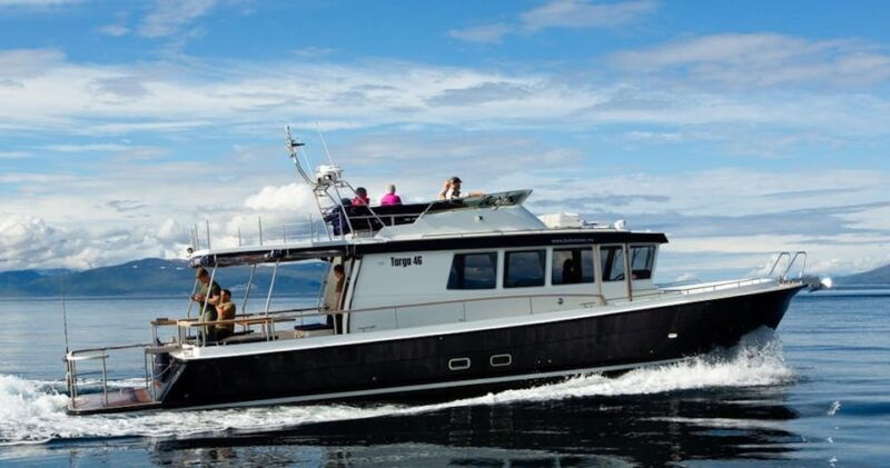 nord-lenangen-whale-watching-boat-tour-with-lunch
