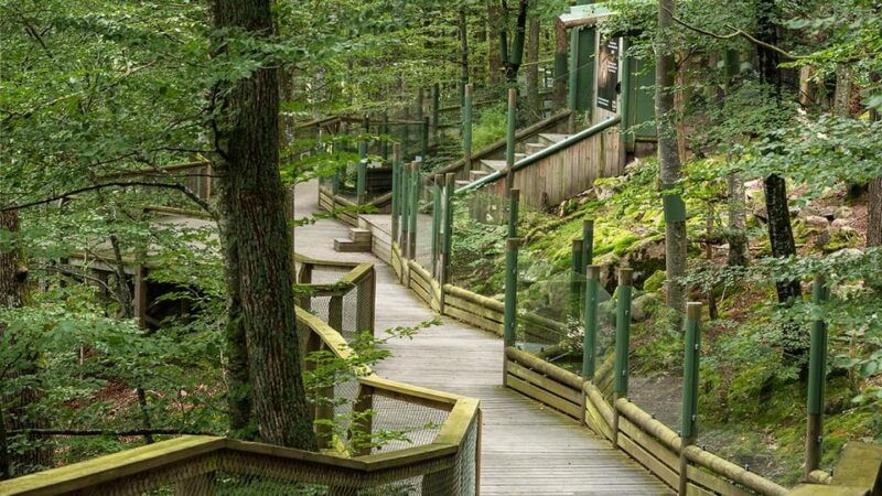 nordens-ark-entry-ticket