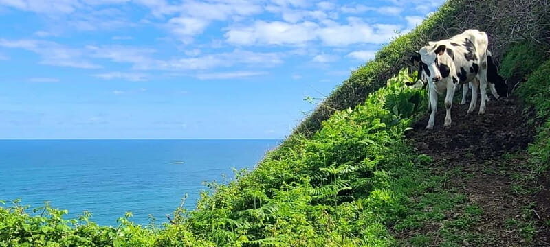 Nordeste/Northeast coast FULL DAY Waterfalls Hike - The Logistics: Comfort and Convenience