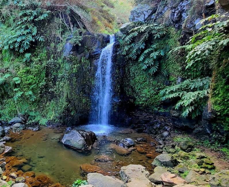 Nordeste/Northeast coast FULL DAY Waterfalls Hike - Who Is This Tour Best For?