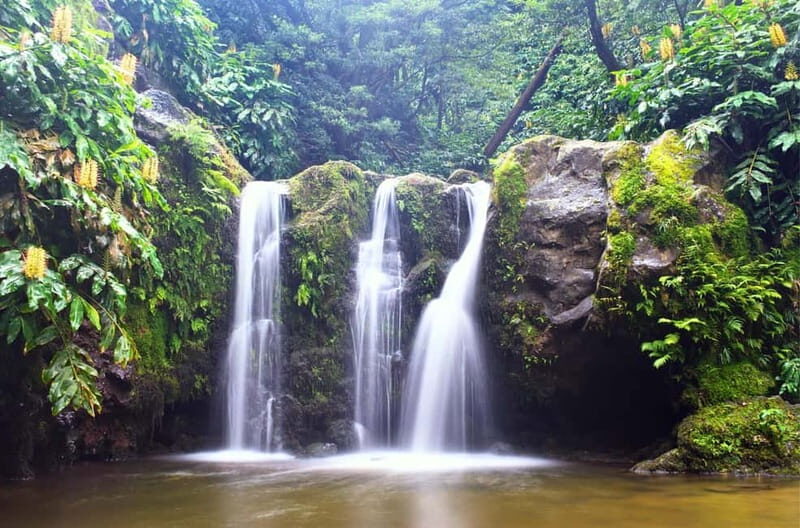Nordeste/Northeast coast FULL DAY Waterfalls Hike - FAQ