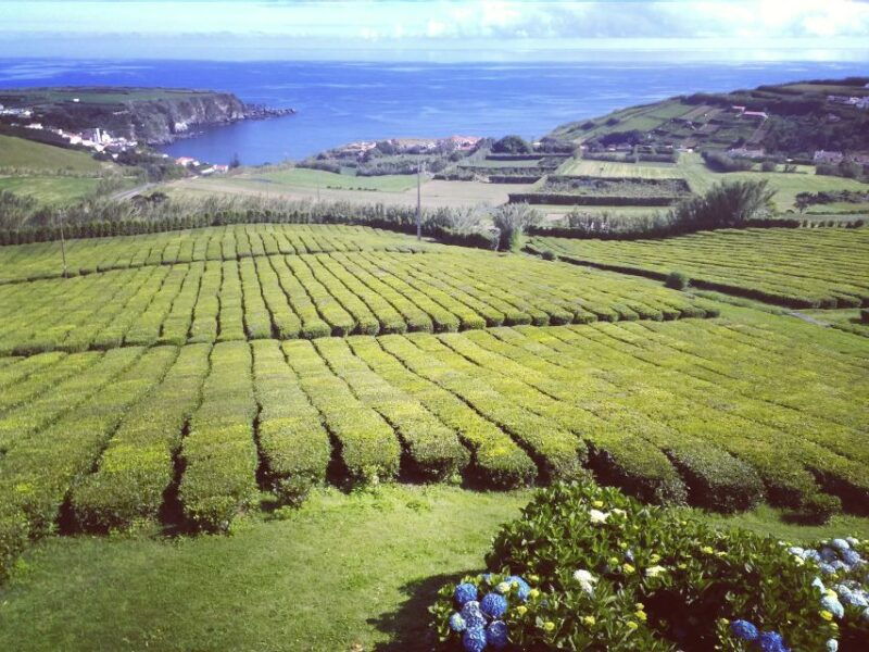 nordeste-private-tour-2-people