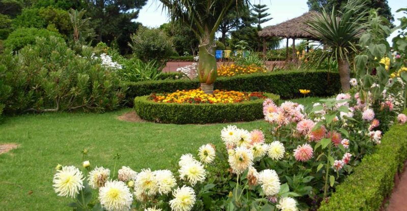 nordeste-private-tour-2-people