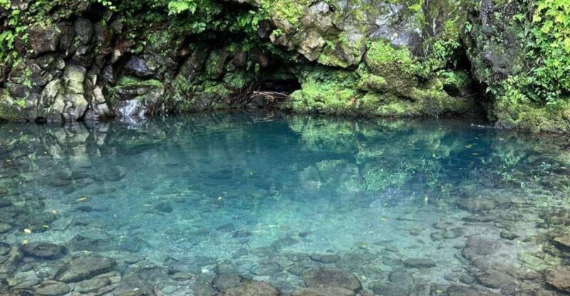 nordeste-waterfalls-half-day-hike