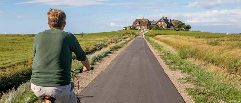 Nordstrand: Daytrip by boat to Amrum - Why This Tour Is a Great Choice