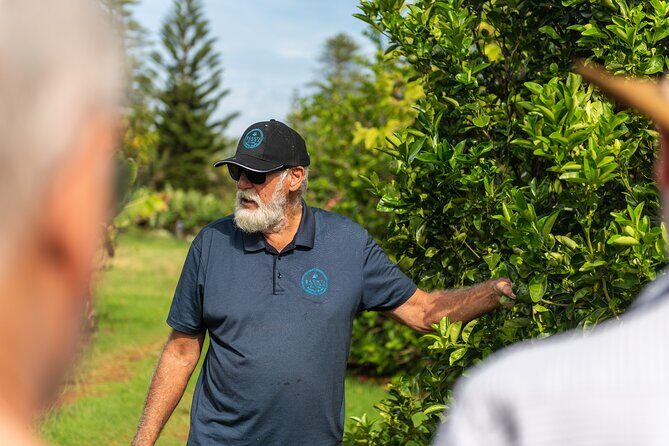 Norfolk Island Fish Fry Experience - The Sum Up