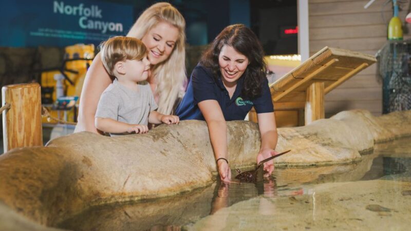 Norfolk: Virginia Zoo & Battleship Wisconsin Combo Ticket - The Highlights of the Norfolk Combo Tour