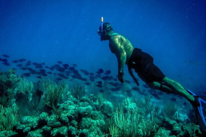 norman-island-sailing-and-snorkelling-tour