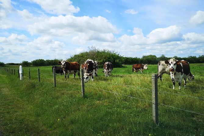normandy-battlefields-tour-american-sites-a3