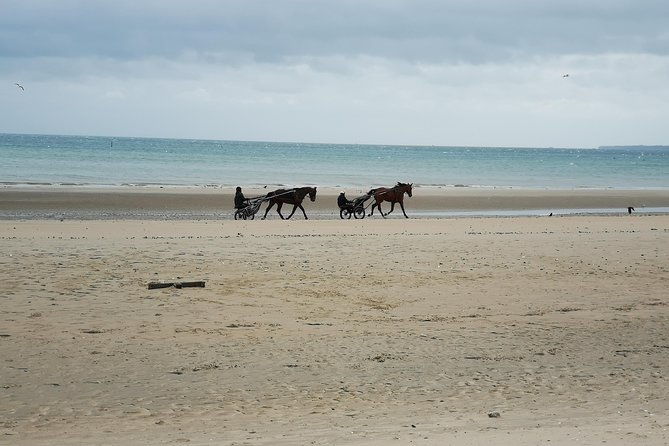 normandy-beaches-half-day-afternoon-trip-from-bayeux-a2